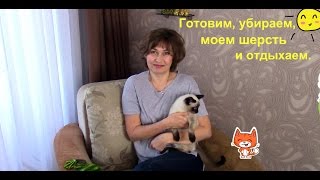 Выходной день. Отдыхаем легко! Выходной день. Отдыхаем легко!
