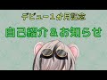 【Vtuber】自己紹介&おしらせ