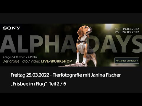 Pet Photography with Janina Fischer - Part 2/6 "Frisbee in Flight" - Sony Alpha Days
