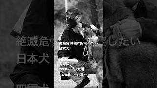 Japanese dogs that should be designated as endangered species🌱絶滅危惧種に指定するべき和犬☘️#四国犬#dogs #sorts