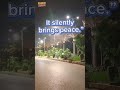 “True love doesn’t shoutIt silently brings peace.”#karachi #trending #karachivibes #clean #greenery