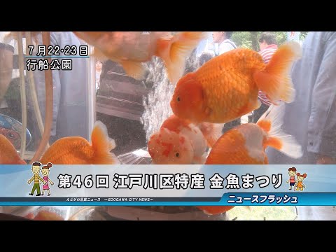第46回 江戸川区特産金魚まつり