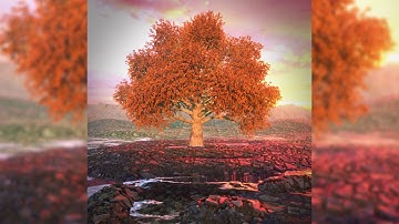 Daily Render Timelapse | #cinema 4d and #octane render   29.3.2020