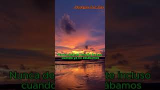 Te conocí en otra vida… 🌙 (Lyrics) | Alma Nocturna 💫 Romantic Lo-Fi Song #shortsfeed  #shortsvideo