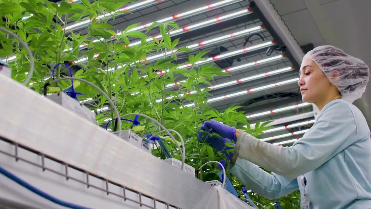 Welcome to Root & Bloom!