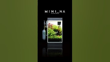 [ADAview]  How To set up MINI_NA  #MINI_NA