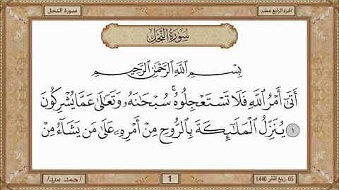 سورة النحل  بصوت الشيخ حسن صالح 016