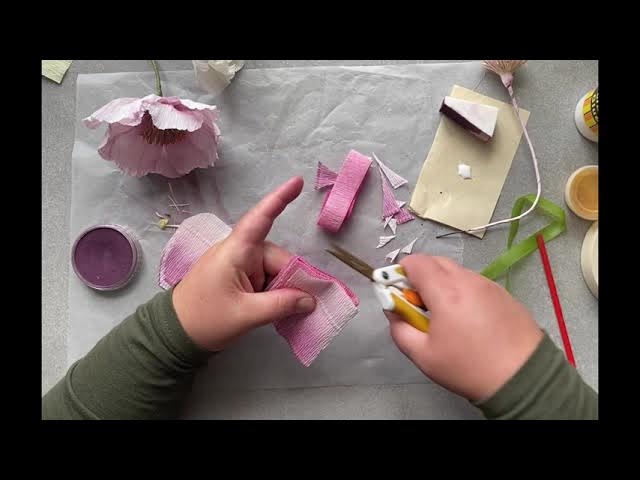 ABC TV  How To Make Miniature Pine Tree From Crepe Paper - Craft Tutorial  