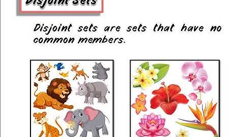 Complement and Disjoint set