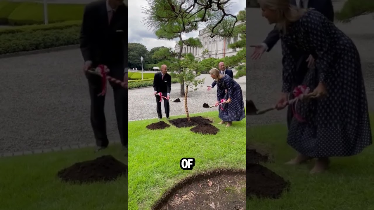 Впечатляющая история о посадке деревьев Софи в Токио