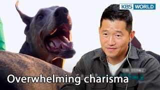 He has a total of five dogs 🐕🐕🐕🐕🐕 [Dogs are incredible : EP.149-1] | KBS WORLD TV 221122