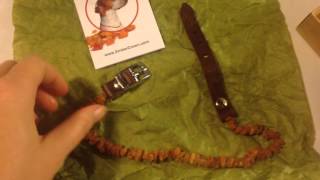 Amber Crown Flea and tick collar review by Ruby Roark