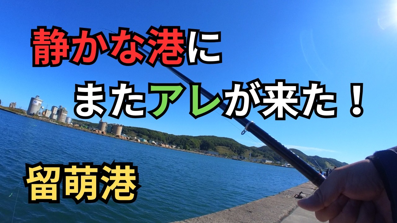留萌港でのサビキ釣り 急に魚の群れが現れて皆大騒ぎ！