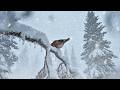 Deep Blizzard &amp; Howling Wind: 10 Hours of Instant Sleep in a Frozen Forest #live