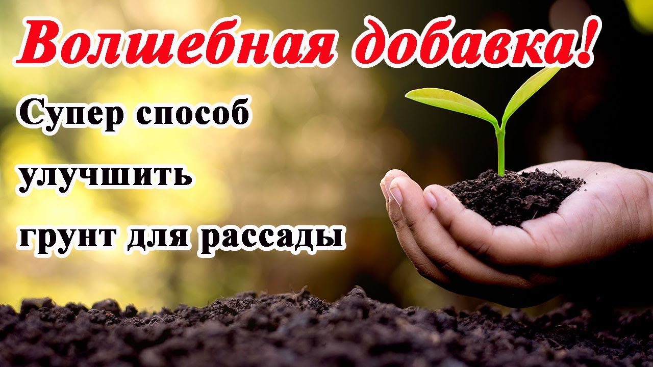 Гарденмарт саженцы отзывы покупателей. Гарденмарт саженцы. Гарденмарт24 интернет магазин саженцы на весну 2022. Гарденмарт интернет магазин саженцы на осень. Гарденмарт интернет магазин саженцы отзывы.