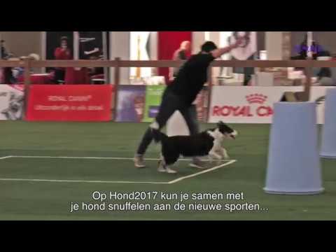 Hond2017 Beleef houden van honden - hondenliefhebbers