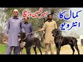 Interview of amir husain warach pakistani bully dog lover 2024