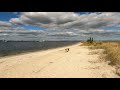 ⁴ᴷ⁶⁰ Walking Cattus Island County Park in Toms River, New Jersey