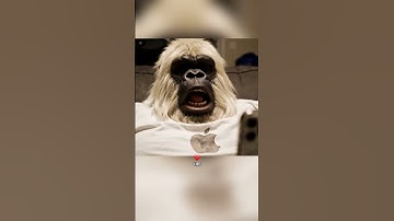 YETI Reacts to Apple Event 2025… iPhone 17 Price Made Me Cry 💔🍏