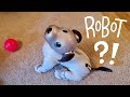 Gambar cover Our New Dog, AIBO: Pet Replacement Robot?!