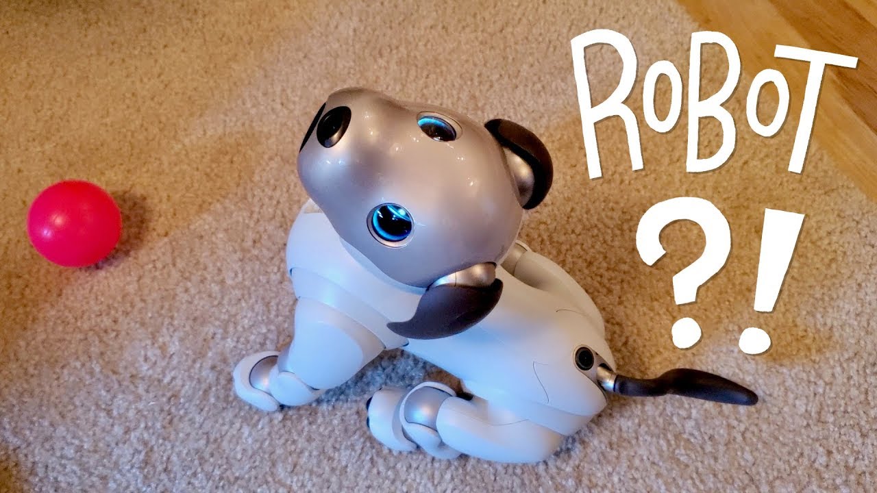 Our New Dog AIBO Pet Replacement Robot