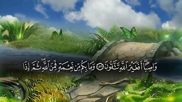 تلاوة من سورة النحل من الآية ٥١ الي  الآية ٦٠ للقاري ماهر المعيقلي