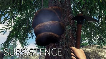 SUBSISTENCE Alpha 62 | I Think these Bees Hate Me | S9 EP102