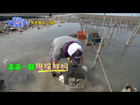 【請問今晚住誰家】EP49 滿滿的蚵田 讓吳大維嚇到傻眼！？竇智孔、吳大維、舞陽 週一至週四晚間10點 東森超視33頻道