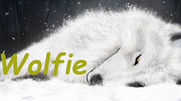 Until Dawn Fight - All Wolfie