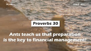 【 Proverbs 30】Ants teach us that preparation is the key to financial management! ｜ACAD Bible Reading