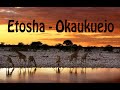 December 2021 Botswana and Namibia part 7, Etosha,  Okaukuejo.