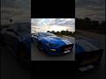 #fordmustang #gt500 #carsenthusiast #automobile #shorts