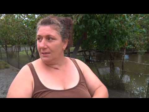 გურიის ახალი ამბები   გადაუღებელი წვიმები გურიაში