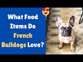 What Fruits and Vegetables can you Feed your French Bulldog puppy? | French Bulldog Diet |