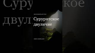 Суруриты Турции #shorts #short #youtubeshorts #youtube #shortvideo  #shortsfeed #share #ислам
