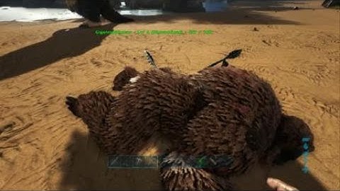 ARK: Survival Evolved_wrong way to tame gigantopithecus