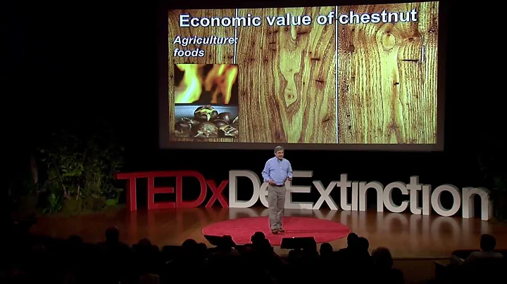 Reviving the American forest with the American chestnut | William Powell | TEDxDeExtinction