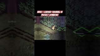 #projectzomboid #pcgaming #zombieapocalypse #zombiegame #survivalgame #onlinemultiplayer