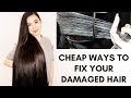 Cheap Ways On How To Fix Dry & Damaged Hair & Get Healthy Hair- Beautyklove