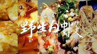 野生白蝦料理特輯晨食四季當令好物 