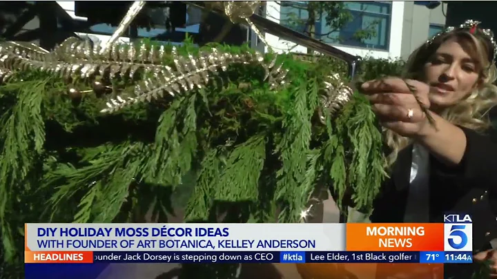 Kelley Anderson of Art Botanica on KTLA Dec 2021, ...