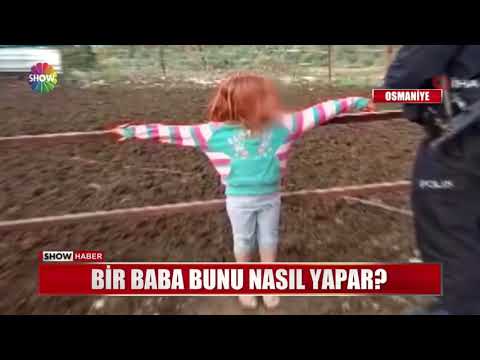 Video: 2017'de Babanızı Nasıl Bulabilirsiniz?