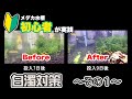 白濁り対策〜その1〜メダカ水槽  立ち上げ 1週間 メダカ飼育初心者が白濁り対策をやってみた