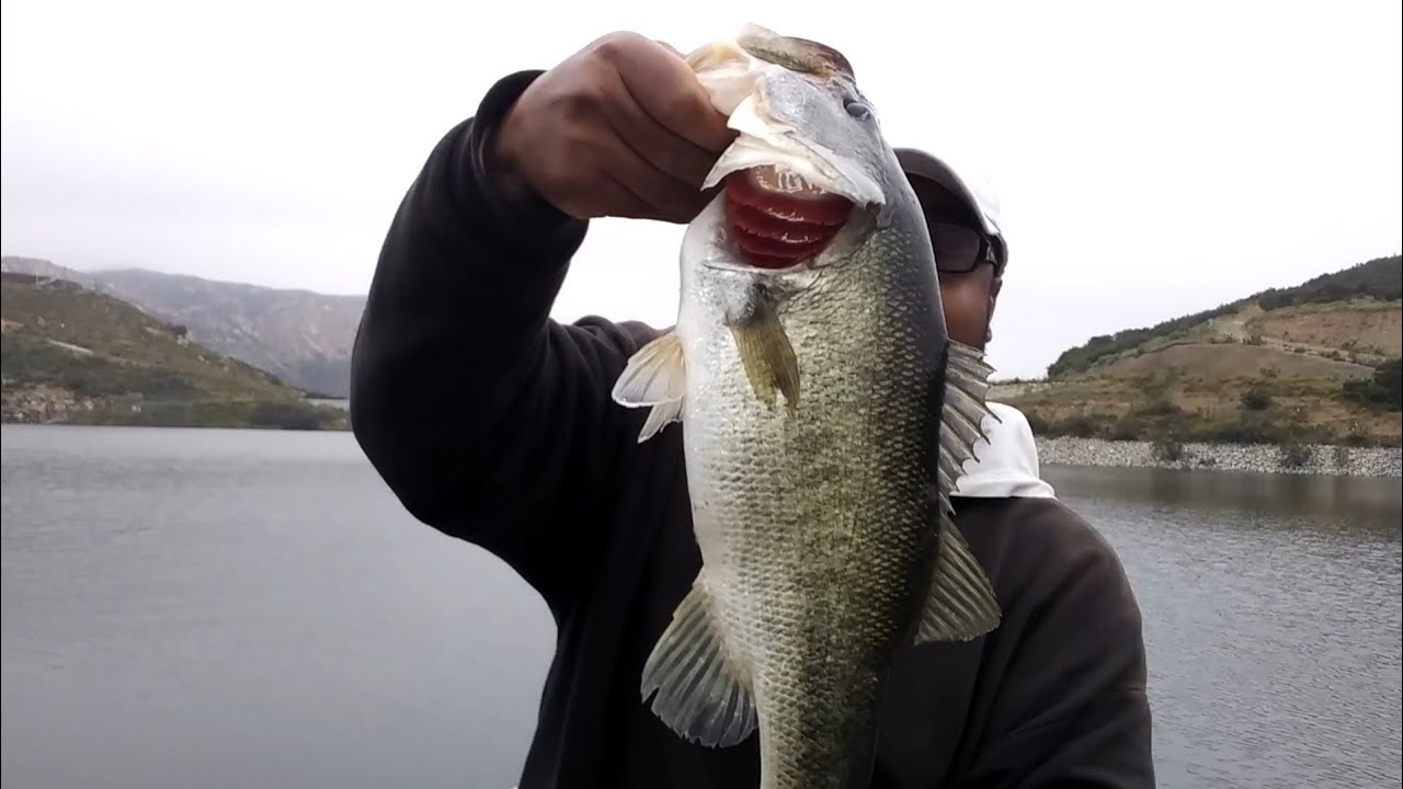 🎣 lake San Vecente”BIG BASS”aawrs-one dig it.
