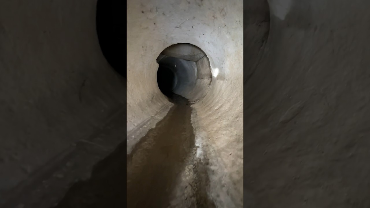 C’est quoi ces bruits sérieux ? 🫨 