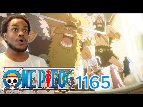 WHAT IS HER ABILITY?! | One Piece Episode 1165 REACTION & REVIEW!!!