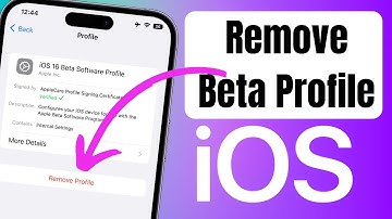 How To Remove iOS 16.1 Beta Profile | Uninstall iOS 16.1 Beta From iOS Device