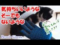 【猫】ブラシグローブ使ってみた。　気温が上がってきて猫の抜け毛の季節になってきました。今回はブラシグローブを購入して使ってみました。