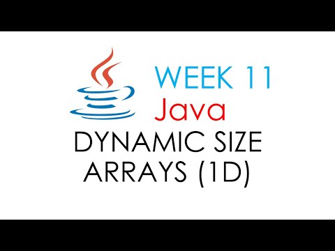 Arrays Dynamic (Size and Input) | Computer Programming 2 (Java)