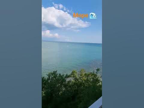 море #море #путешествие #скейтбординг #скейтпарк #скейтборд #олли - YouTube